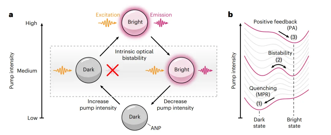 光子雪崩納米晶體的本征光學(xué)雙穩性