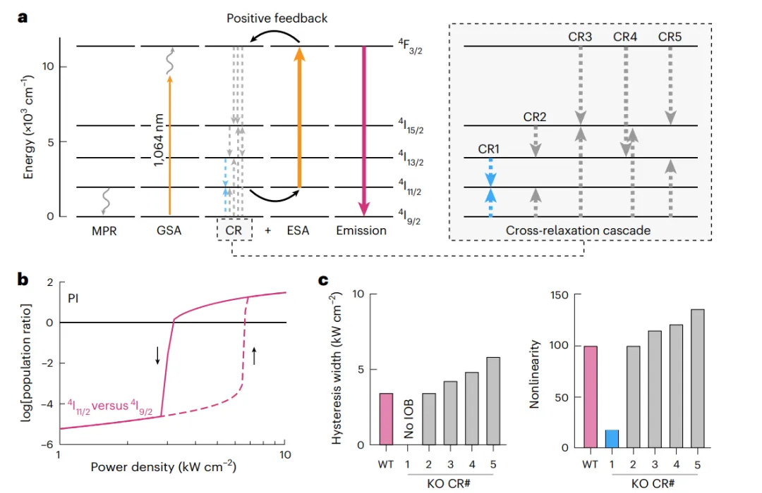 雪崩納米粒子ANPs中的本征光學(xué)雙穩態(tài)IOB模型。